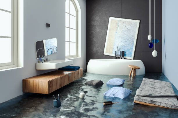 Best Flood restoration services  in Topeka, KS