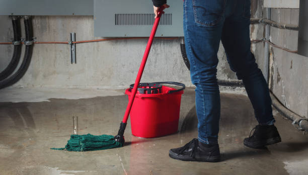 Best Carpet water damage restoration  in Topeka, KS