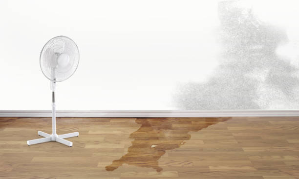Best Sewage cleanup and water damage restoration  in Topeka, KS