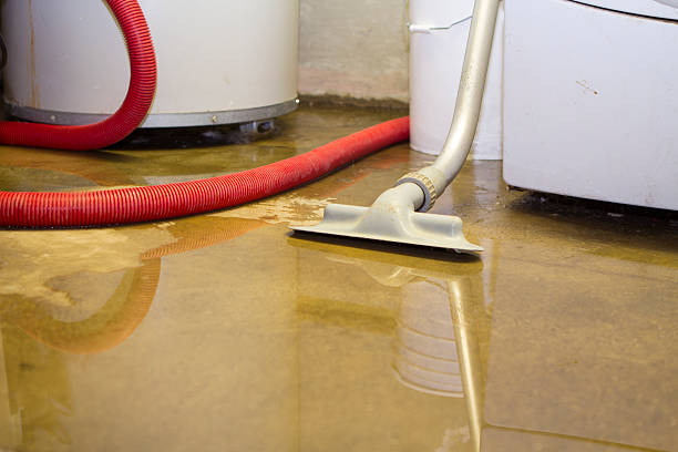 Best Flood restoration services  in Topeka, KS