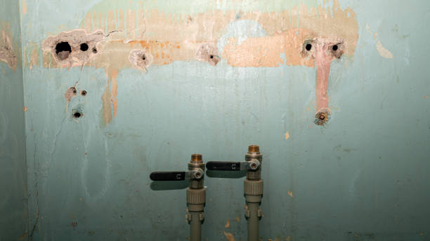 Best Sewage cleanup and water damage restoration  in Topeka, KS