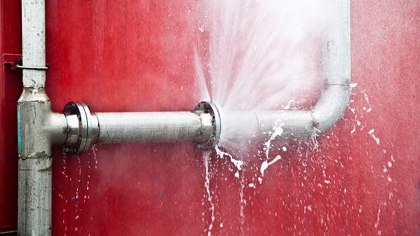 Best Professional water damage repair  in Topeka, KS